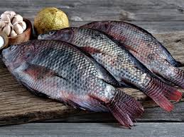 Whole cleaned tilapia at Kamundia Butchery Nairobi