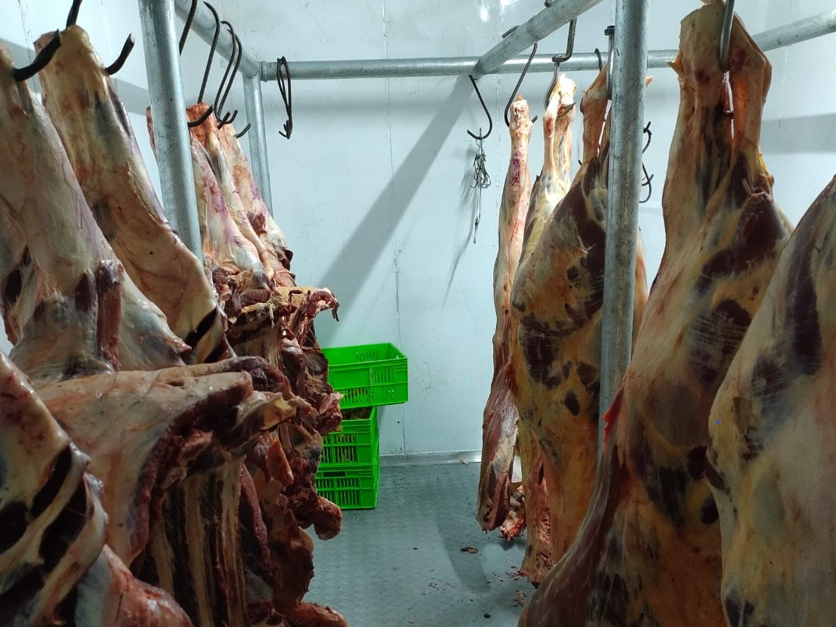 Carcasses hanging in the Kamundia Butchery cold room at City Market, Nairobi