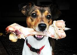 Pets Food Section at Kamundia Butchery Nairobi - Real raw bones and offcuts for dogs and cats